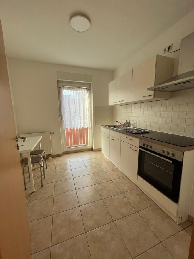 Np-Apartments Blasewitz دريسدن المظهر الخارجي الصورة